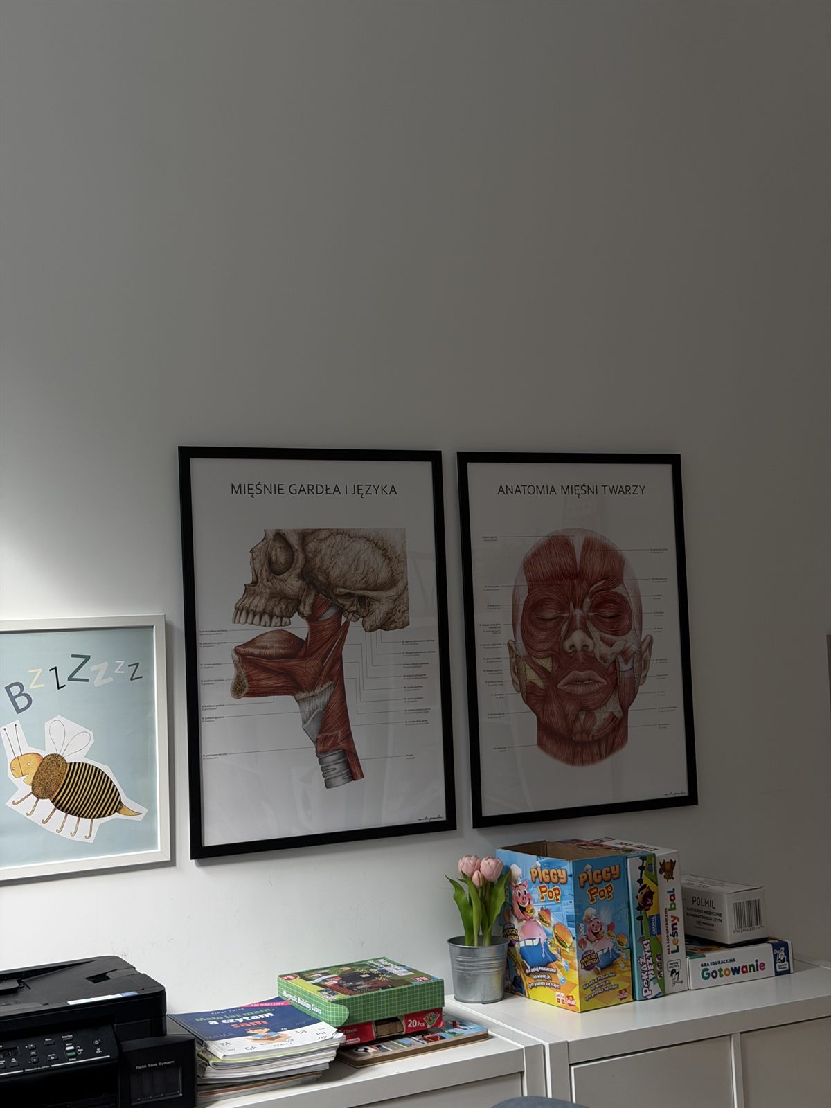 Gabinet z planszami anatomicznymi mięśni twarzy i gardła oraz grami edukacyjnymi